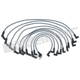 Walker Products Spark Plug Wire Set 924-1446 - view 2