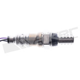 Walker Products Oxygen Sensor 350-341077 - view 2