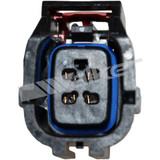 Walker Products Oxygen Sensor 350-34007 - view 3