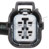 Walker Products Oxygen Sensor 350-34119 - view 3