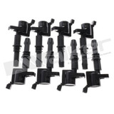 Walker Products Ignition Coil Set P/N:928-4080-8