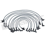 Walker Products Spark Plug Wire Set 924-1439