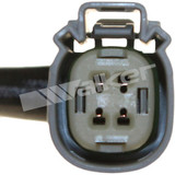 Walker Products Oxygen Sensor 250-241206 - view 2