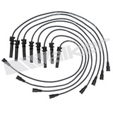 Walker Products Spark Plug Wire Set 924-1660
