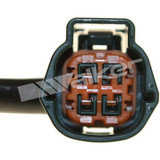 Walker Products Oxygen Sensor 250-241160 - view 3