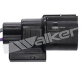 Walker Products Oxygen Sensor 250-241252 - view 3