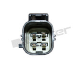 Walker Products Oxygen Sensor 350-64077 - view 3