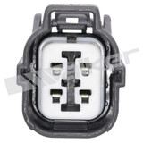 Walker Products Oxygen Sensor P/N:250-24343