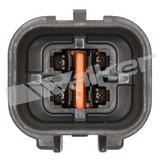 Walker Products Oxygen Sensor 250-24242 - view 3