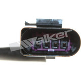 Walker Products Oxygen Sensor 250-241089 - view 3
