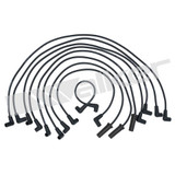Walker Products Spark Plug Wire Set 924-1422
