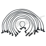 Walker Products Spark Plug Wire Set 924-1422 - view 2