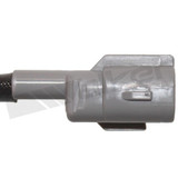 Walker Products Oxygen Sensor 350-32018 - view 2