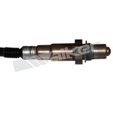 Walker Products Oxygen Sensor 350-34471 - view 3