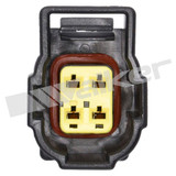 Walker Products Oxygen Sensor 250-241117 - view 3