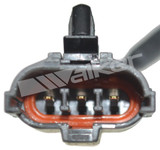 Walker Products Engine Crankshaft Position Sensor 235-1681 - view 3