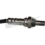 Walker Products Oxygen Sensor 350-34066 - view 3