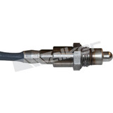 Walker Products Oxygen Sensor 350-34683 - view 3