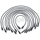 Walker Products Spark Plug Wire Set P/N:924-1417