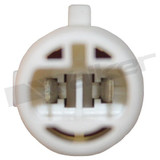 Walker Products Oxygen Sensor 350-32021 - view 2