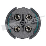 Walker Products Oxygen Sensor 350-34621 - view 2