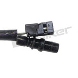 Walker Products Oxygen Sensor 350-33106 - view 3