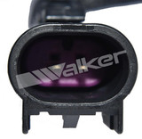 Walker Products Engine Coolant Temperature Sensor 211-1069 - view 3