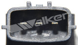 Walker Products Engine Crankshaft Position Sensor 235-1356 - view 3