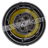 Walker Products Oxygen Sensor 250-24021 - view 2