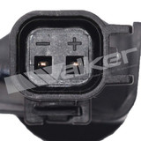 Walker Products ABS Wheel Speed Sensor 241-1186 - view 2