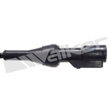 Walker Products ABS Wheel Speed Sensor 241-1073 - view 3