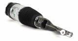 Arnott Industries Air Suspension Strut AS-3751 - view 2