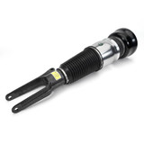 Arnott Industries Air Suspension Strut P/N:ASE-4385