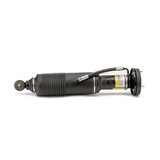 Arnott Industries Suspension Strut SK-2482