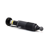 Arnott Industries Suspension Strut SK-2412 - view 2