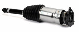 Arnott Industries Air Suspension Strut P/N:AS-3381