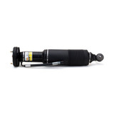 Arnott Industries Suspension Strut SK-2470 - view 2