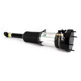 Arnott Industries Air Suspension Strut P/N:ASE-3819