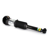 Arnott Industries Air Suspension Strut ASE-3819 - view 3