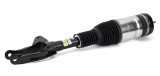 Arnott Industries Air Suspension Strut AS-3249 - view 2