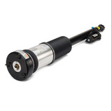 Arnott Industries Air Suspension Strut AS-2821 - view 2