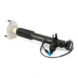 Arnott Industries Suspension Shock Absorber SK-3817 - view 2