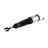 Arnott Industries Air Suspension Strut AS-2560 - view 2