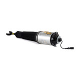 Arnott Industries Air Suspension Strut AS-2560 - view 3