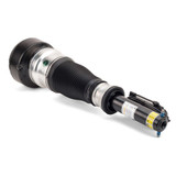 Arnott Industries Air Suspension Strut AS-2540 - view 3