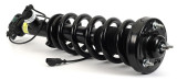 Arnott Industries Suspension Strut and Coil Spring Assembly SK-3597 - view 2
