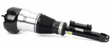 Arnott Industries Air Suspension Strut P/N:AS-3359