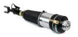 Arnott Industries Air Suspension Strut AS-3369 - view 2