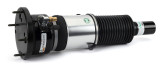 Arnott Industries Air Suspension Strut P/N:AS-3309