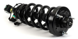 Arnott Industries Suspension Strut and Coil Spring Assembly SK-3628 - view 3